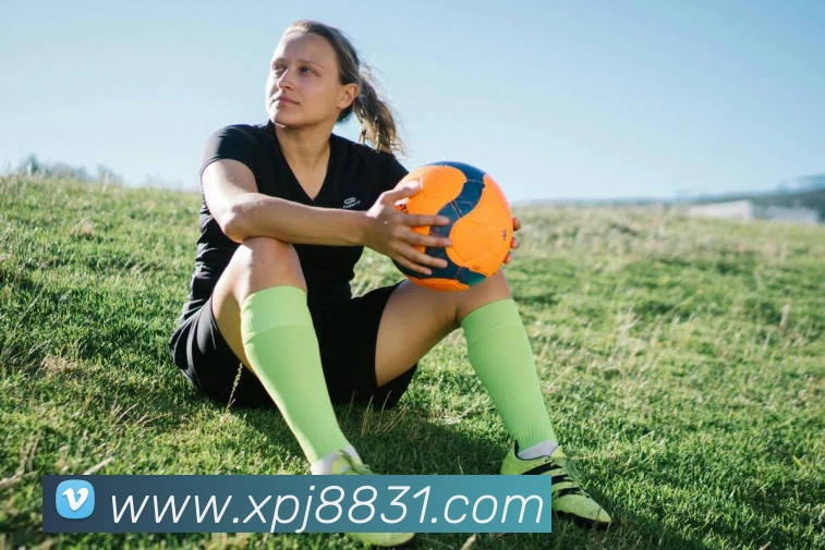 新葡京在线网址平台生态图