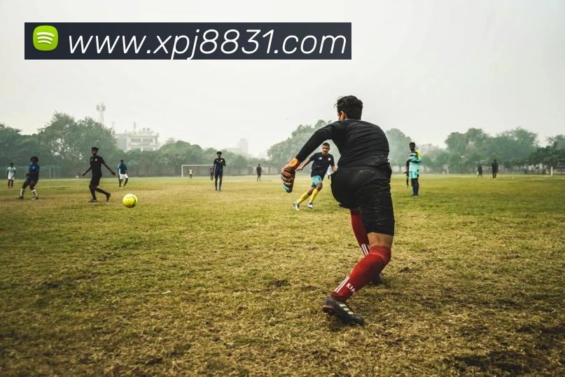 新葡京在线网址APP 封面图